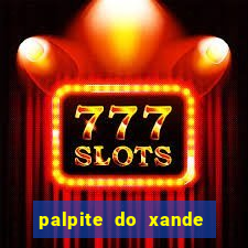 palpite do xande para hoje